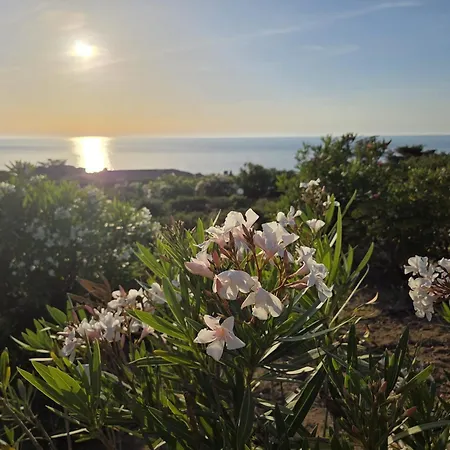 Vista Paradiso *